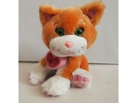 adoptimals cat